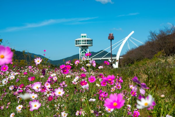 황산공원 5