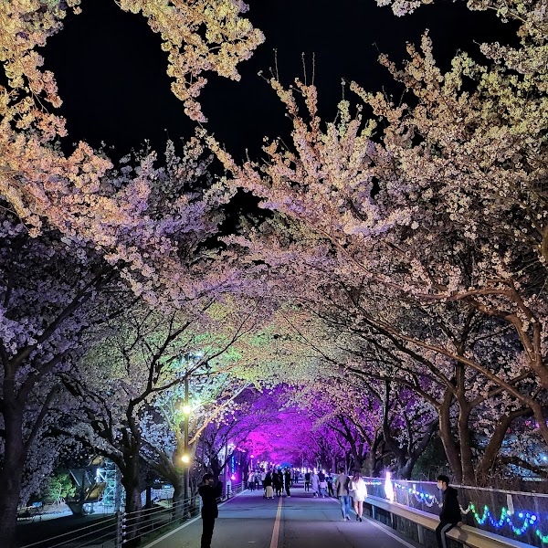 황산공원 4