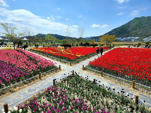 황산공원 2