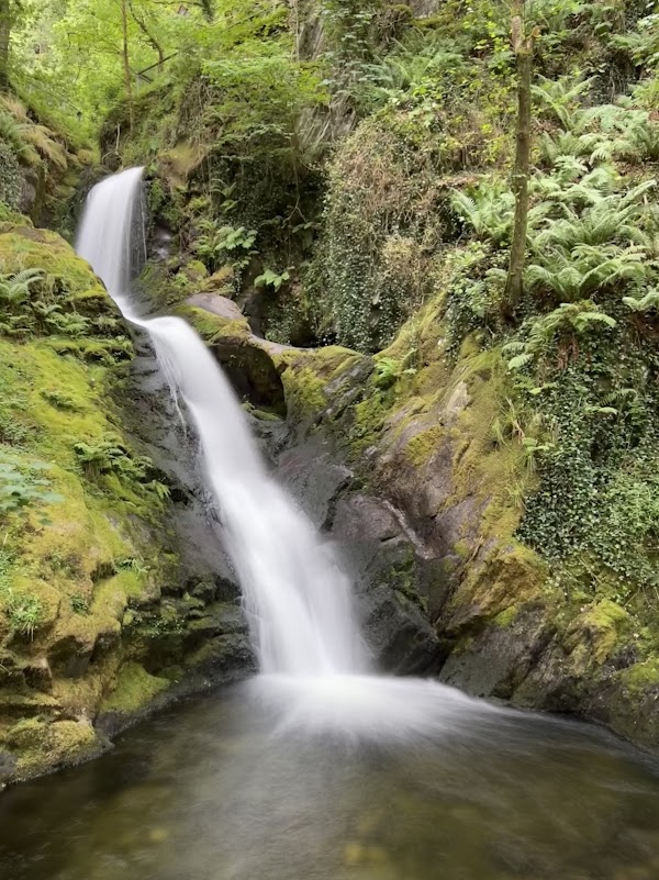 Dolgoch Falls 1