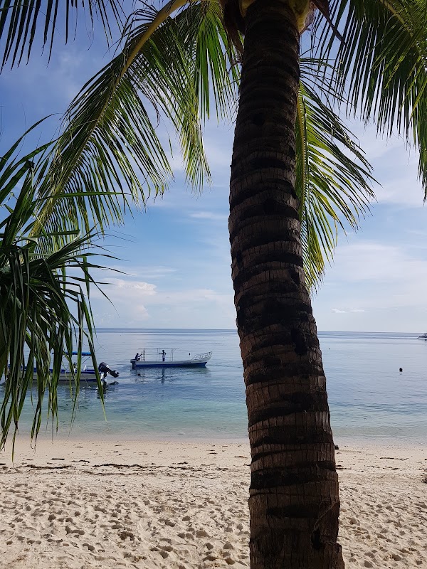 Tubod Marine Sanctuary 4