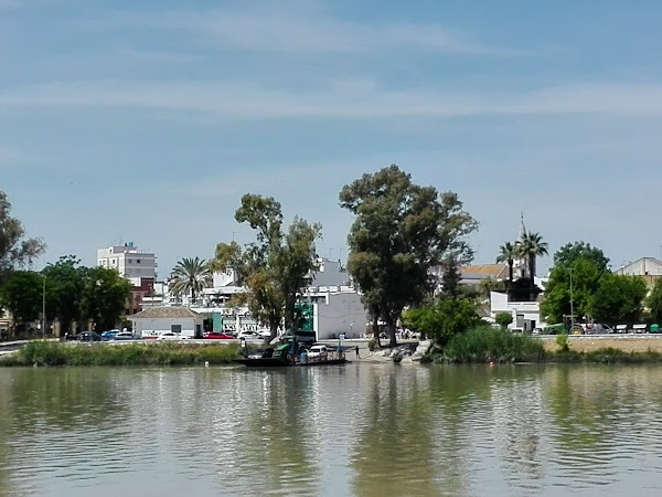 Coria del Río 1