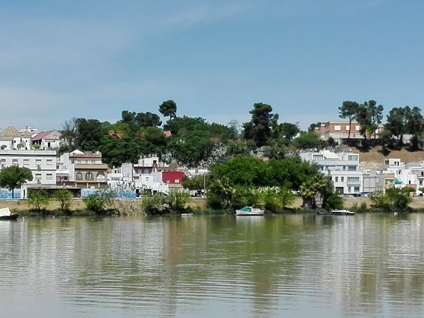 Coria del Río 2