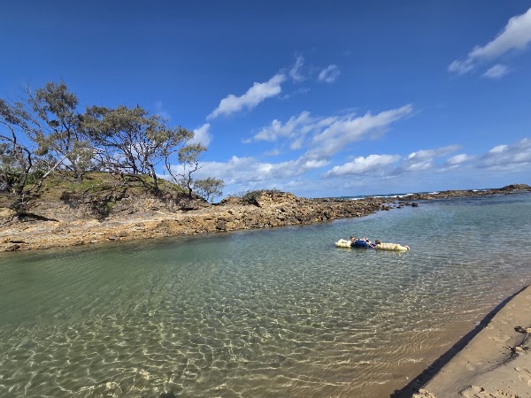 Pebbly Beach campground - Yuraygir National Park 5