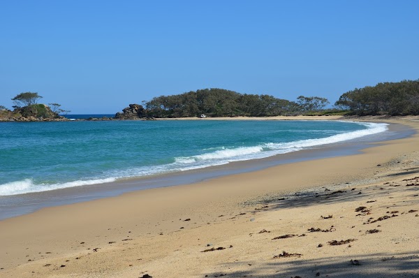Pebbly Beach campground - Yuraygir National Park 3