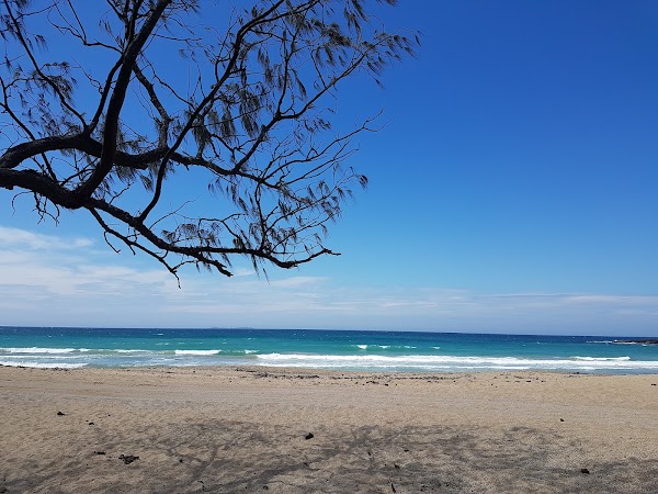 Pebbly Beach campground - Yuraygir National Park 2