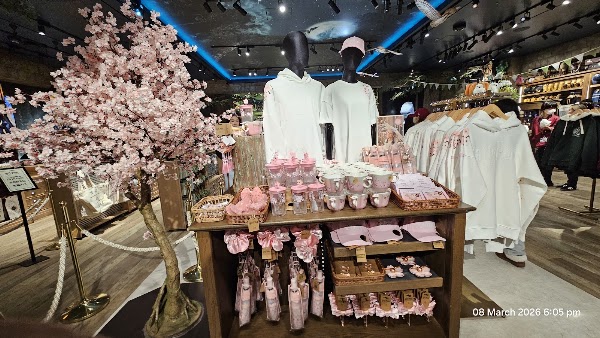 Harry Potter Shop Harajuku 5