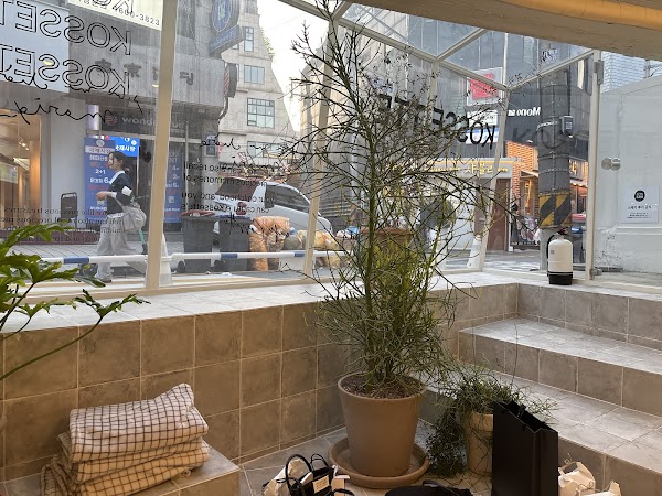 코제트 도산점