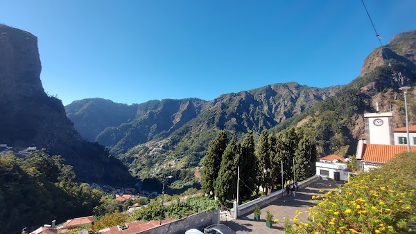 Maderia 8