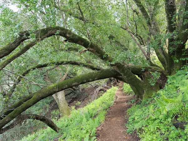 Foothills Open Space Preserve 4