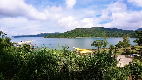 Wong Shek Pier 5