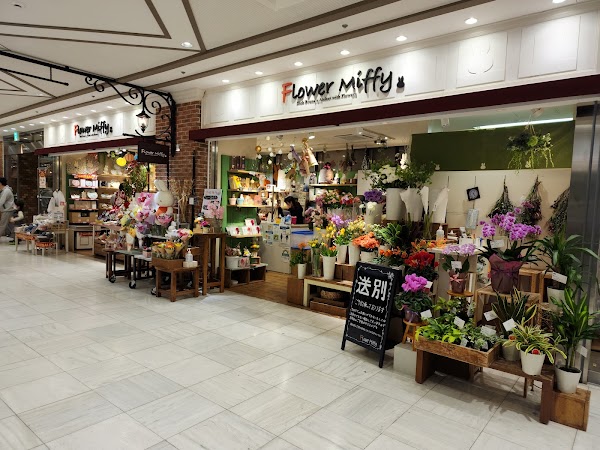 Flower Miffy Sunshine City Alpa Shop