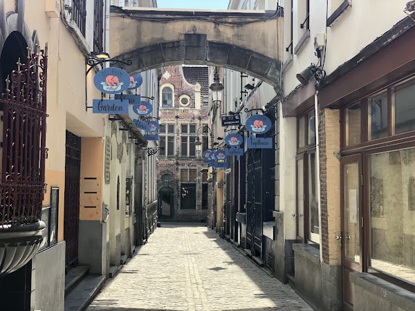 Delirium | Brussels 4