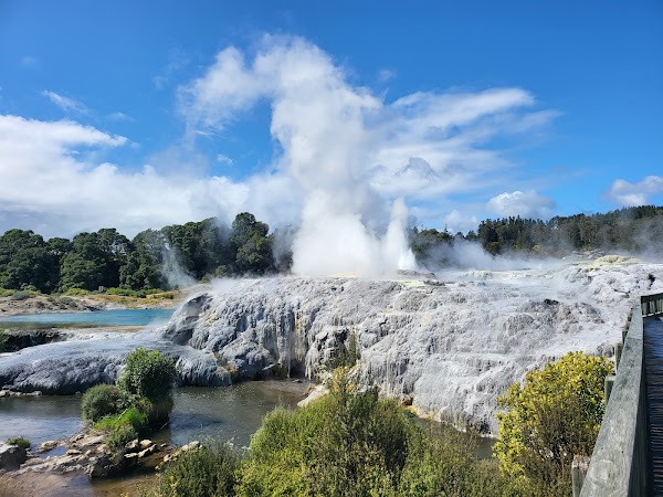 Te Puia - Rotorua, NZ 1