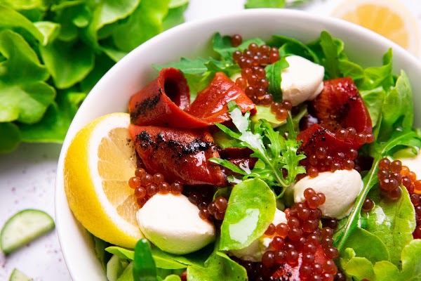 DOBRO TOP VEGAN 2