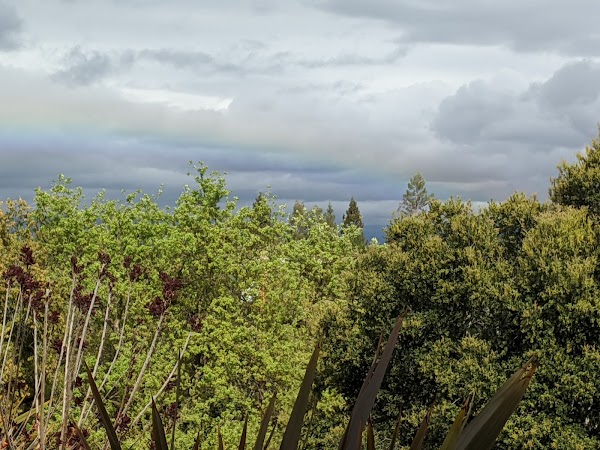 Los Altos Hills 5
