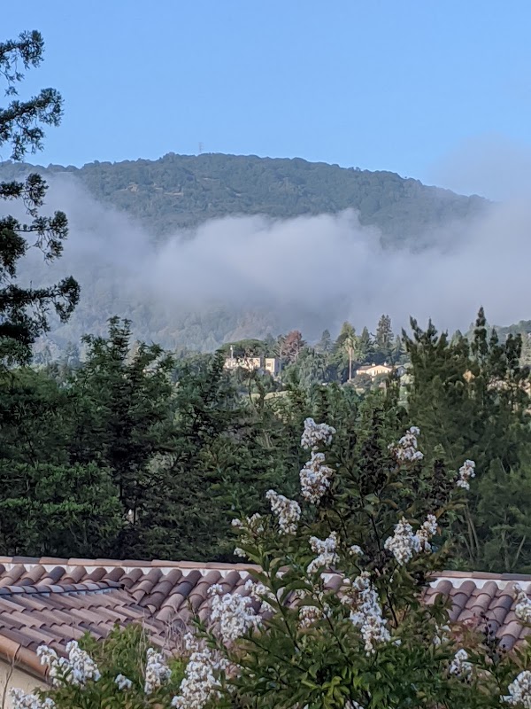 Los Altos Hills 2