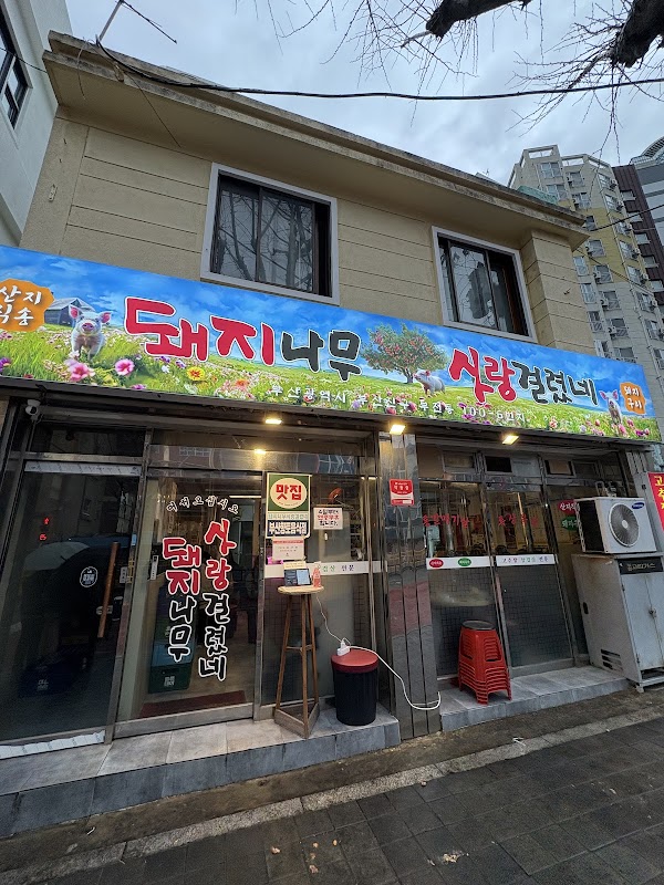 돼지나무사랑걸렸네