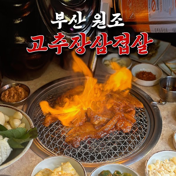 돼지나무사랑걸렸네 5