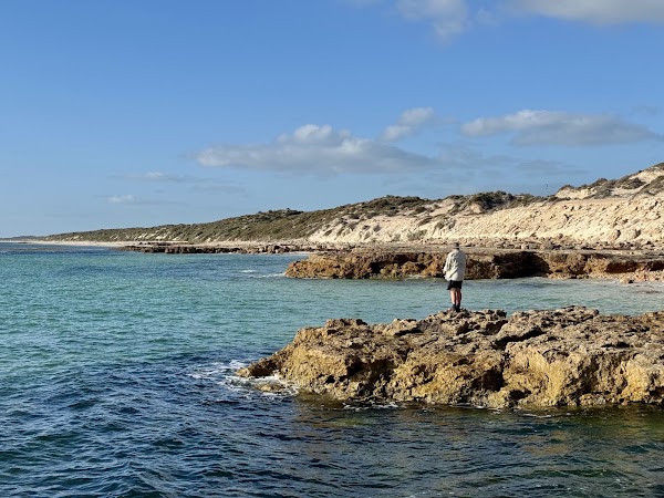 Barkers Rocks - Bush Campground 4