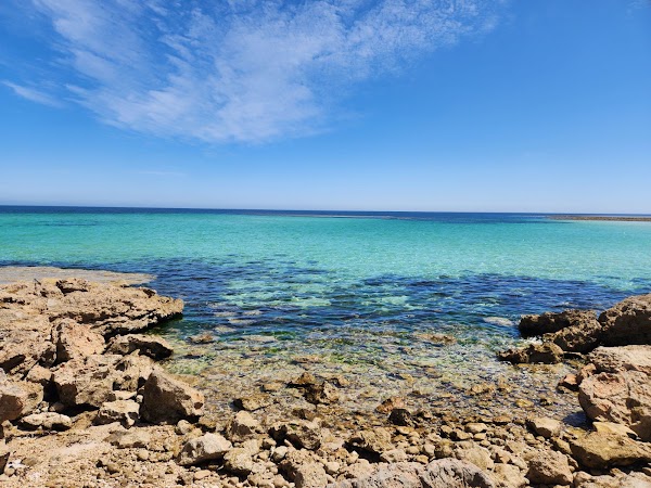 Barkers Rocks - Bush Campground 3