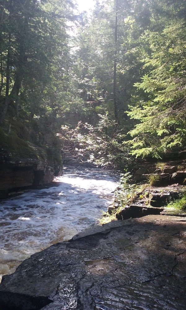 Canyon Falls Trail