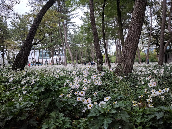 삼문공설운동장 2