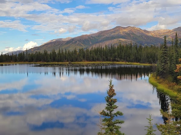 Denali National Park and Preserve 4