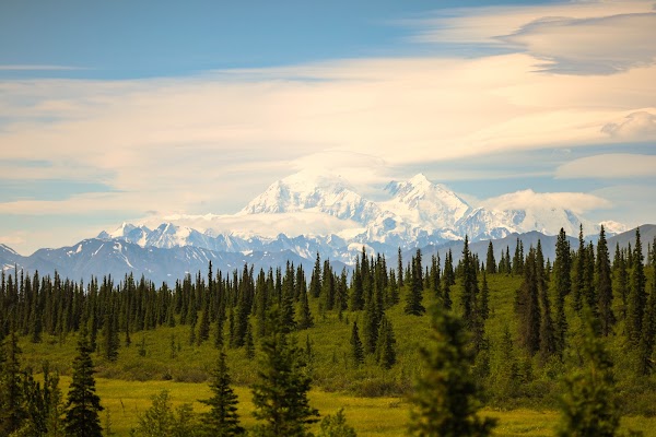 Denali National Park and Preserve 2