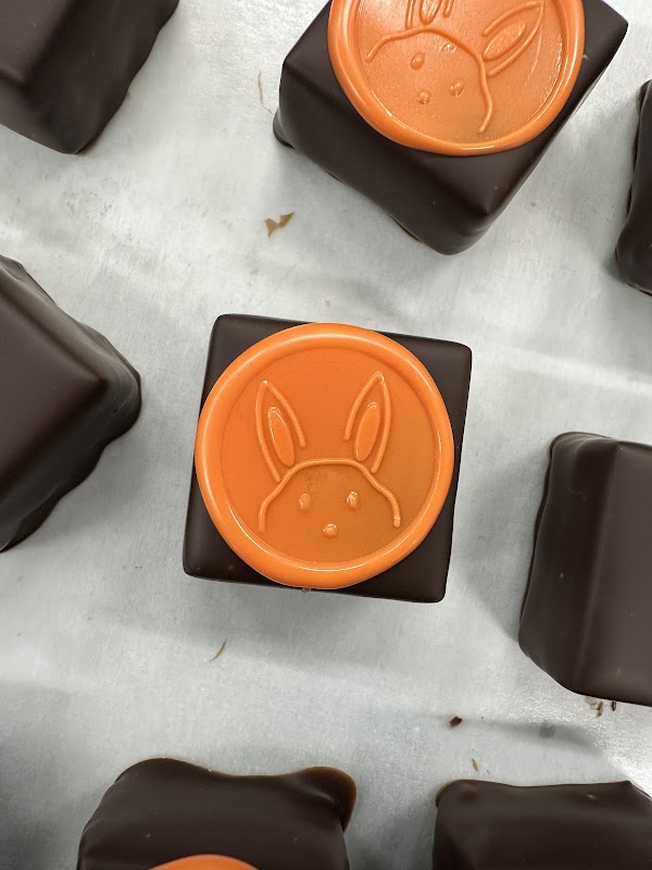 Cocoa Wilds Chocolate 4