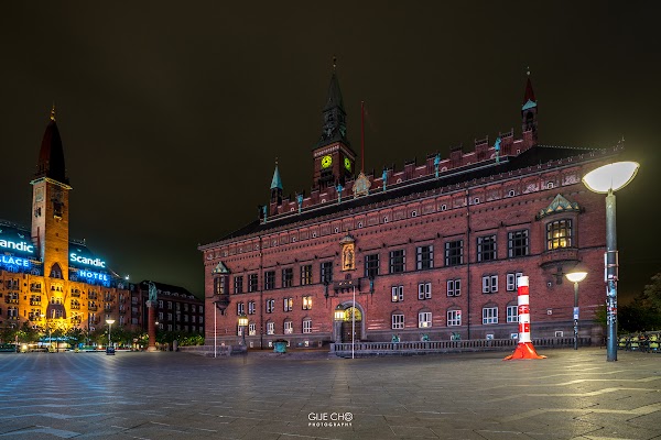 Copenhagen City Hall 5