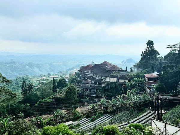 Bali Strawberry Farm & Resto 3