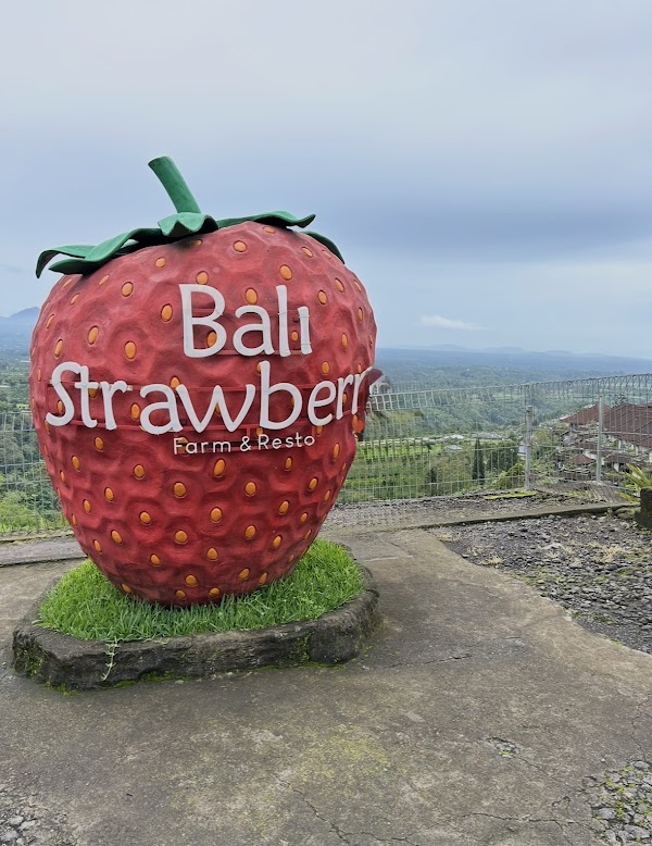 Bali Strawberry Farm & Resto 2