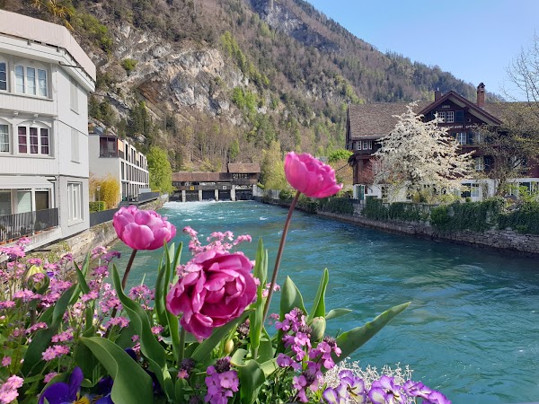 Interlaken 4