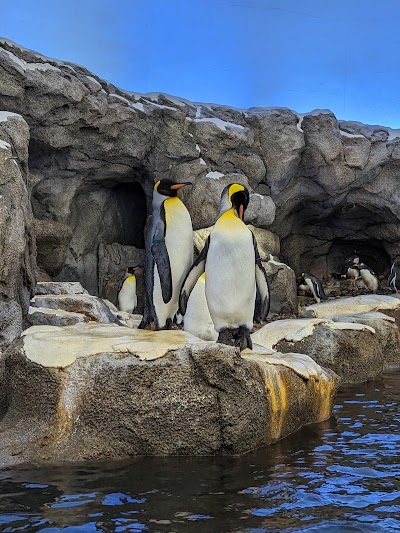 Wilder Institute/Calgary Zoo