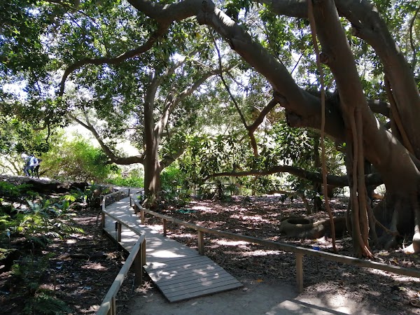 Orto Botanico di Cagliari