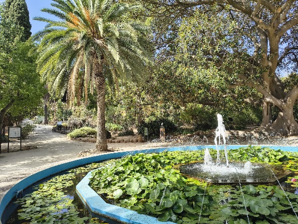 Orto Botanico di Cagliari 5