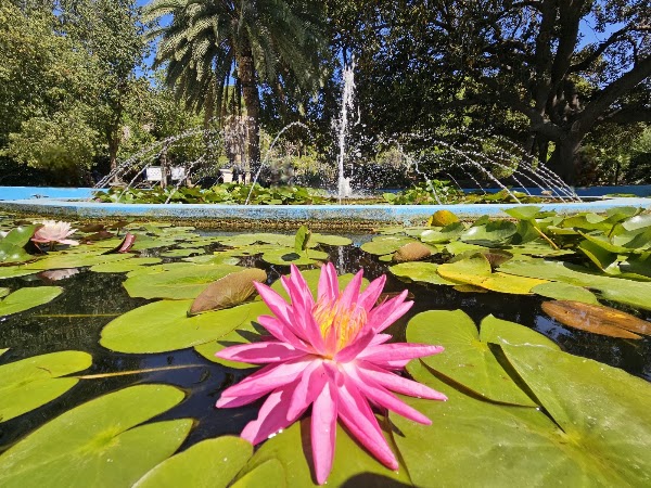 Orto Botanico di Cagliari 2