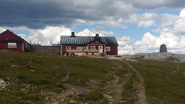 Blåhammaren