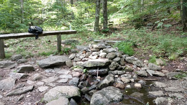 Falcon Spring