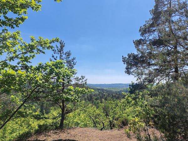Altschlossfelsen 4