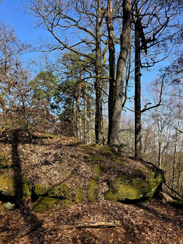 Altschlossfelsen 2