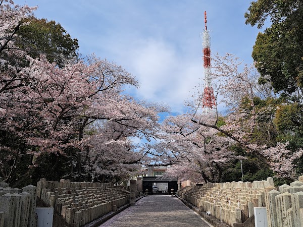 Hijiyama Park 5