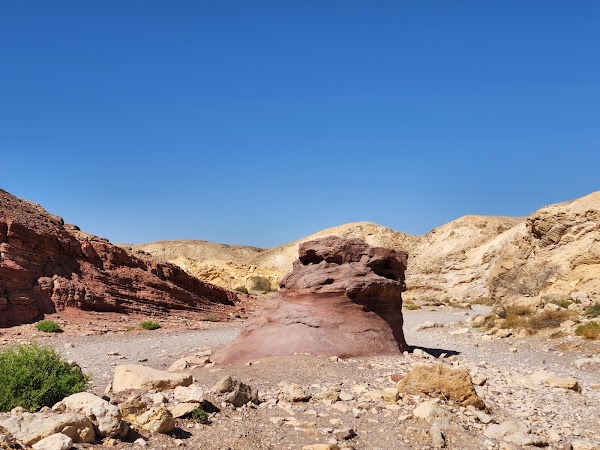 Red Canyon 4