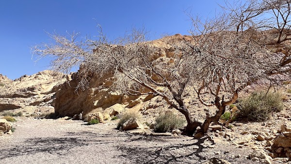 Red Canyon 3