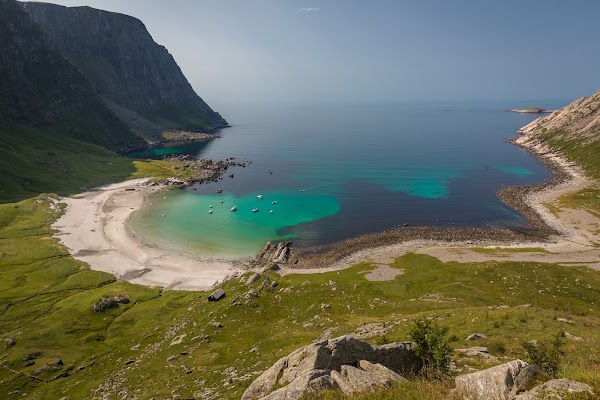 Vetvika