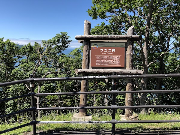 Cape Puyuni 2