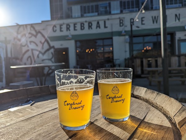 Cerebral Brewing - Congress Park 5