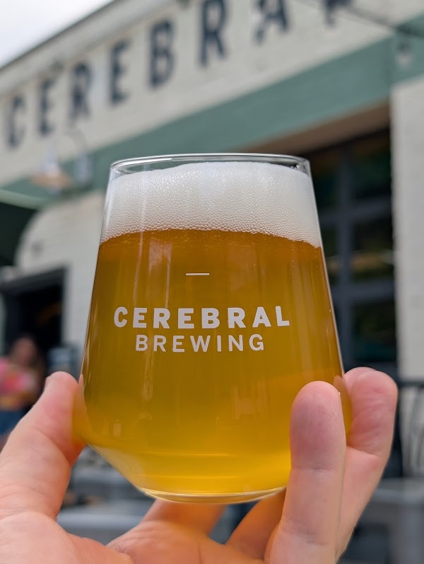Cerebral Brewing - Congress Park 3