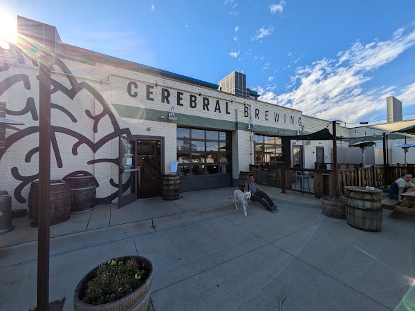 Cerebral Brewing - Congress Park 2